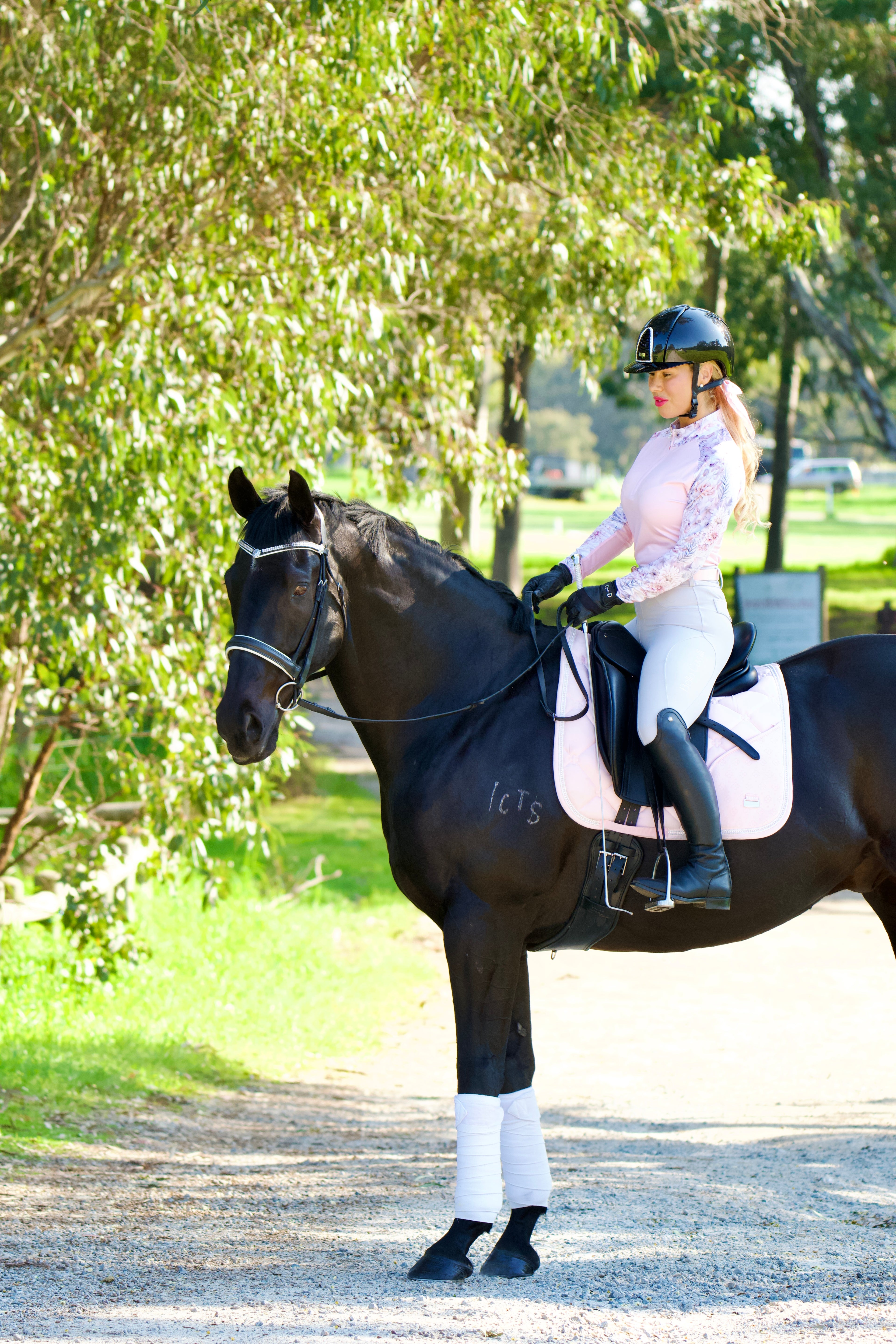 Light Grey Equestrian Hybrid Breeches – Stretch & Silicone Grip | Bello Cavalli
